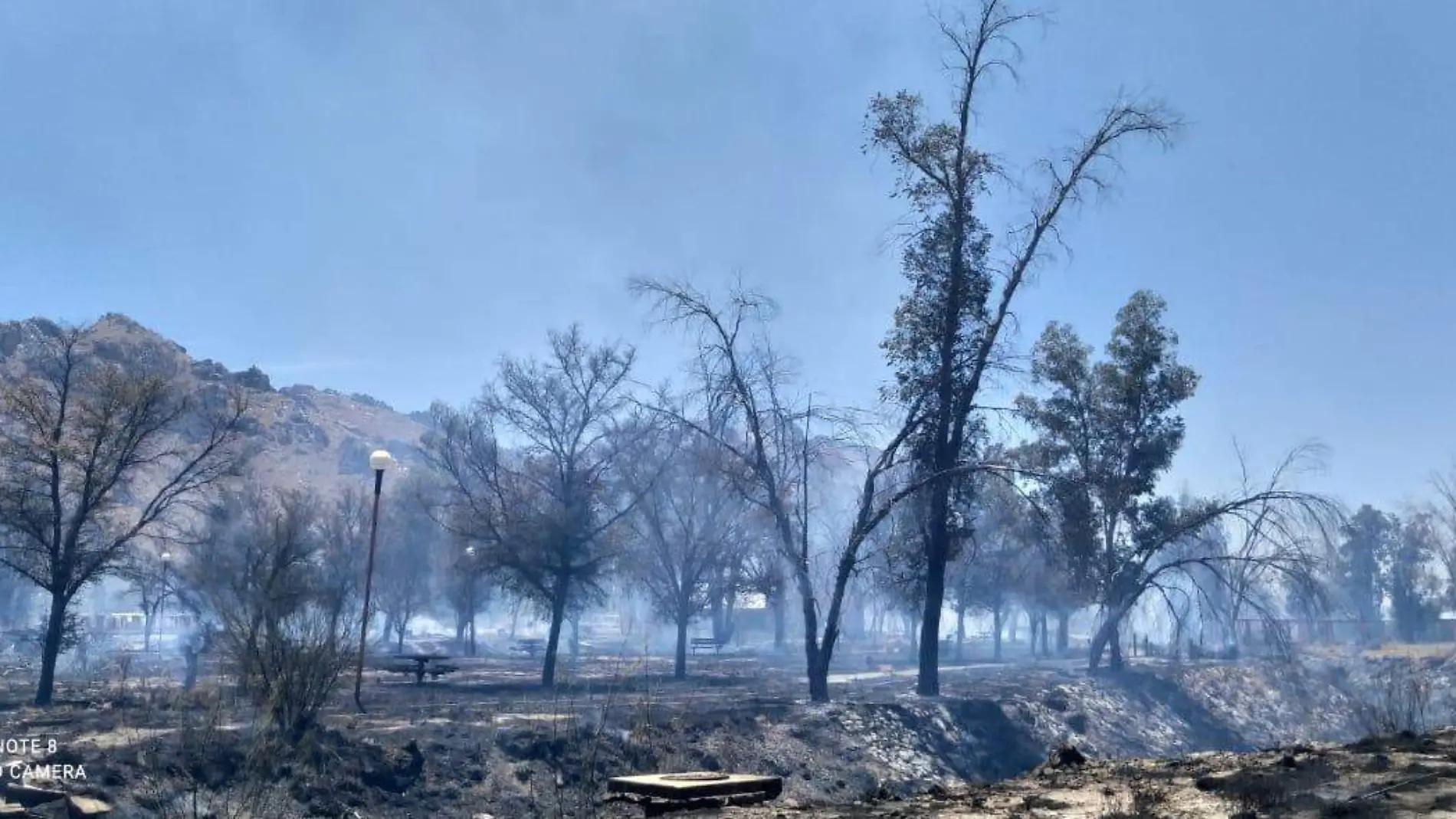 Incendio de maleza en La Sauceda (3)